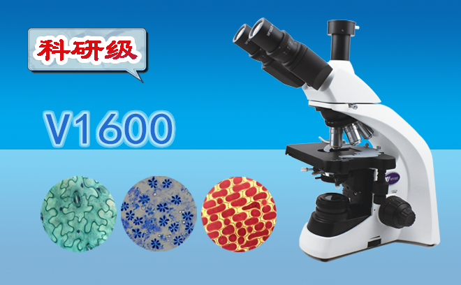 顯微鏡的工作原理以及高倍顯微鏡的使用方法是什么呢？