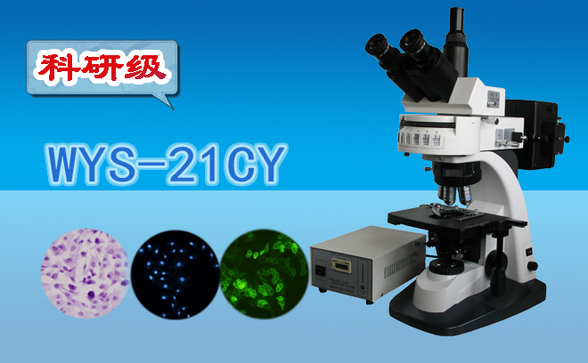 熒光顯微鏡技術(shù)包括哪幾種？